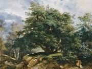 Jules Coignet The Old Oak in the Forest of Fontainebleau Spain oil painting artist